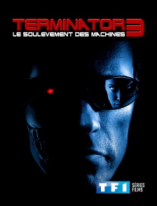 TF1 Séries Films - Terminator 3 : le soulèvement des machines