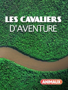 Animaux - Les cavaliers d'aventure