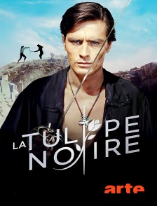 Arte - La Tulipe noire