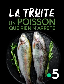 France 5 - La truite, un poisson que rien n'arrête