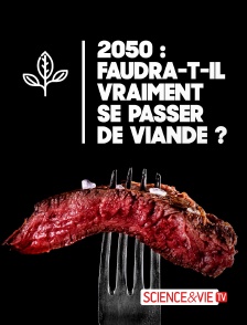 Science et Vie TV - 2050 : faudra-t-il vraiment se passer de viande ?