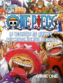 Game One - One Piece : Le Royaume de Chopper, l'étrange île des animaux