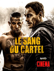 Molotov Channels Cinéma - Le sang du cartel