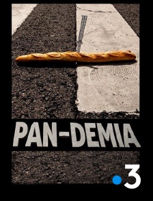 France 3 - Pan-demia