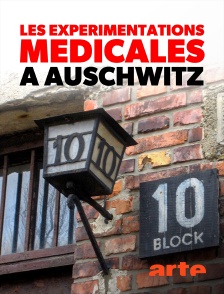 Arte - Les expérimentations médicales à Auschwitz : Clauberg et les femmes du bloc 10