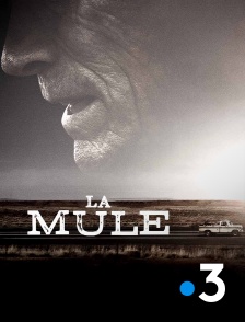 France 3 - La mule