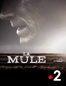 France 2 - La mule