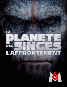 M6 - La planète des singes : l'affrontement