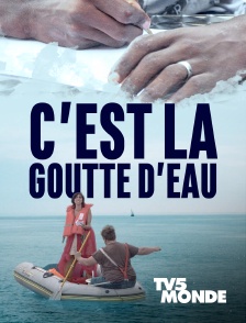 TV5MONDE - C'est la goutte d'eau