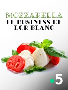 France 5 - Mozzarella, le business de l'or blanc