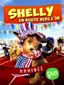 Gulli - Shelly en route vers l'or