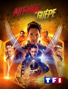 TF1 - Ant-Man et la Guêpe