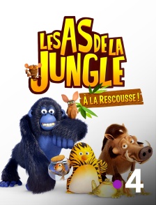 France 4 - Les as de la jungle à la rescousse