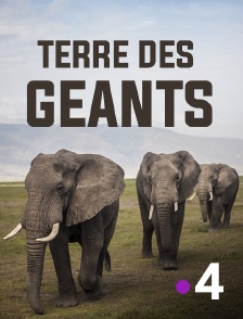 France 4 - Terre des géants