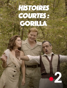 France 2 - Histoires courtes : Gorilla