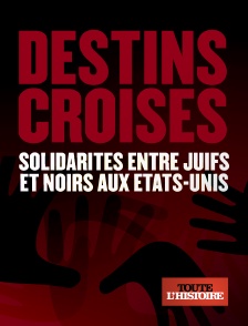 Toute l'Histoire - Destins croisés, solidarités entre juifs et noirs aux Etats-Unis