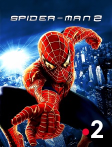 France 2 - Spider-Man 2