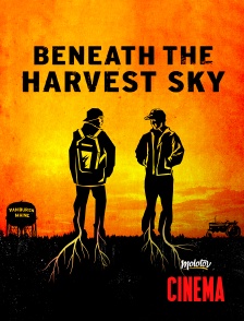 Molotov Channels Cinéma - Beneath the harvest sky