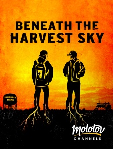 Molotov channels - Beneath the harvest sky