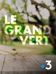 France 3 - Le grand vert