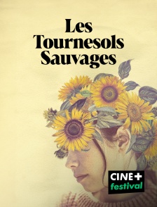 CINE+ Festival - Les tournesols sauvages