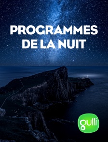 Gulli - Programmes de la nuit