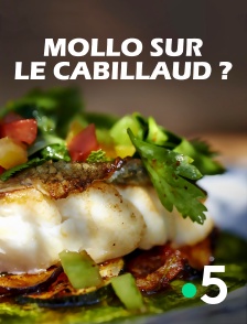 France 5 - Mollo sur le cabillaud ?