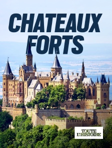 Toute l'Histoire - Châteaux forts en replay