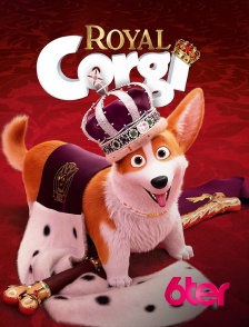 6ter - Royal Corgi