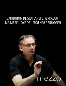 Mezzo - Exhibition de Sidi Larbi Cherkaoui, Ma mère l'Oye de Jeroen Verbruggen