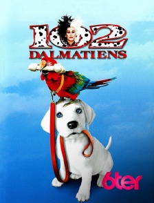 6ter - Les 102 dalmatiens