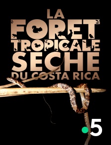 France 5 - La forêt tropicale sèche du Costa Rica