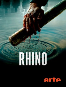 Arte - Rhino