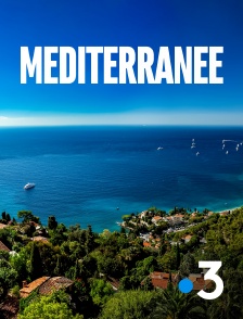 France 3 - Méditerranée, l'odyssée pour la vie