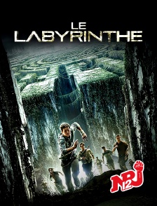 NRJ 12 - Le labyrinthe