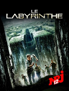 NRJ 12 - Le labyrinthe