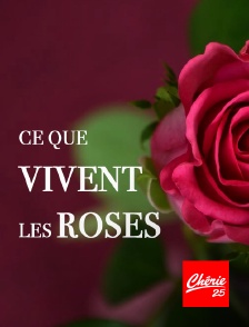 Chérie 25 - Ce que vivent les roses