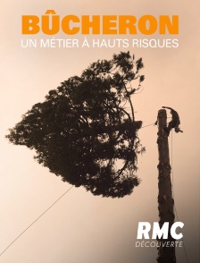 RMC Découverte - Bucheron : un métier à hauts risques