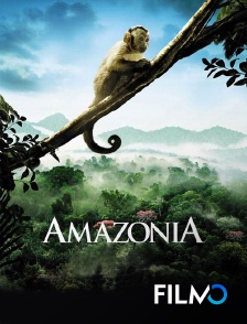 FilmoTV - Amazonia