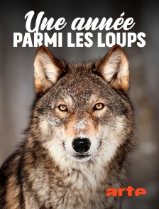 Arte - Une année parmi les loups