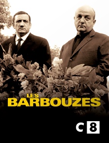 C8 - Les barbouzes