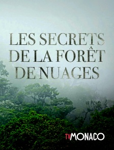 TV Monaco - Les secrets de la forêt de nuages