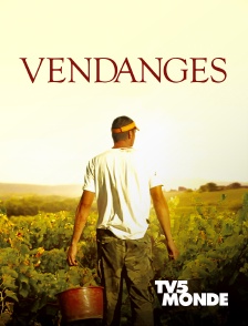 TV5MONDE - Vendanges