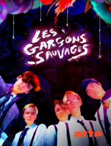 Arte - Les garçons sauvages