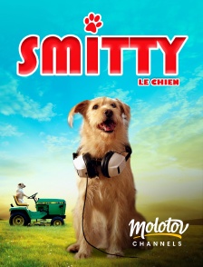 Molotov channels - Smitty le chien