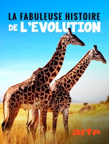 Arte - La fabuleuse histoire de l'évolution