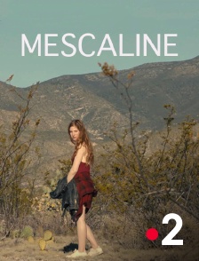 France 2 - Mescaline