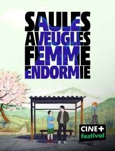 CINE+ Festival - Saules aveugles, femme endormie