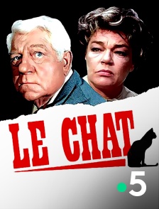 France 5 - Le chat