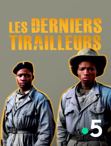 France 5 - Les derniers tirailleurs